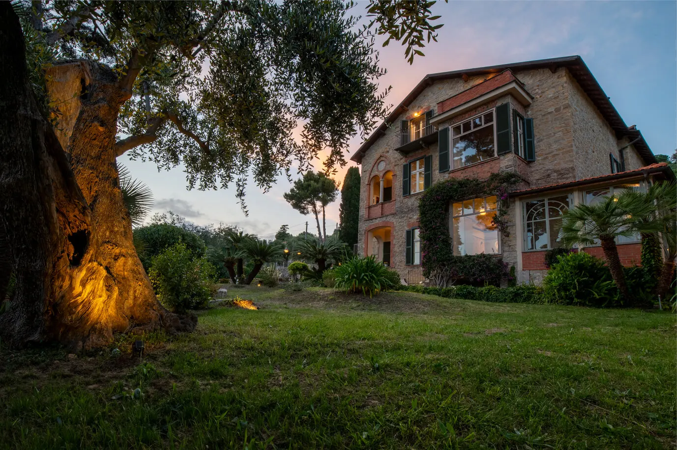 Villa Rappis al tramonto, vista dal parco con un ulivo secolare illuminato